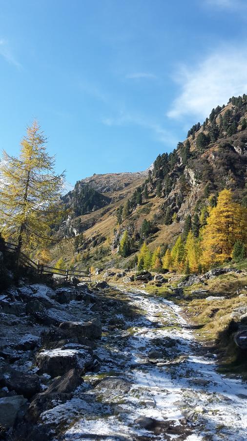 Adlerhof Lejlighed Sankt Leonhard im Pitztal Eksteriør billede